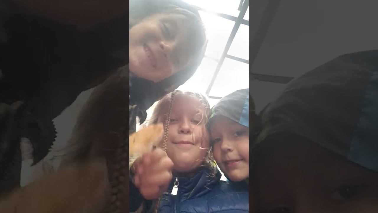 28 июля 2024 г. смотреть онлайн