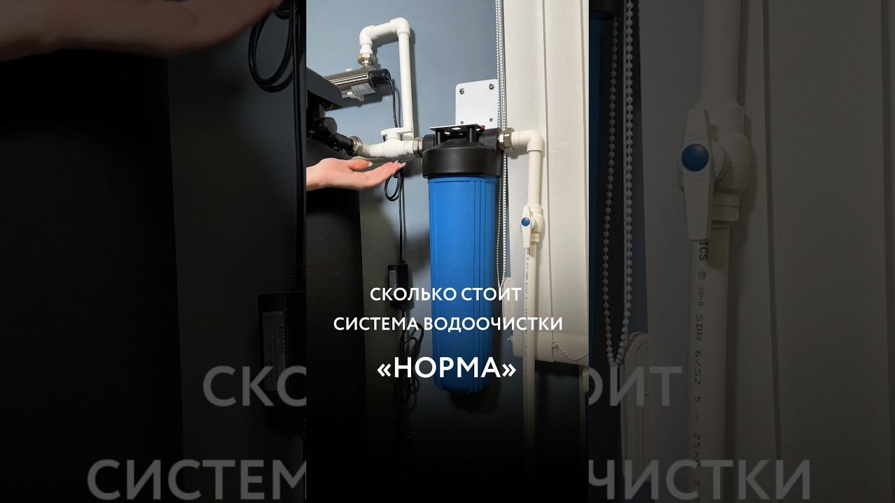 Dewton | Сколько стоит самая простая система водоочистки #shorts #водоочистка смотреть онлайн