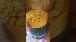 Отзыв о сушилке "Великие реки" Волга 10