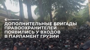 Дополнительные бригады правоохранителей появились у входов в парламент Грузии
