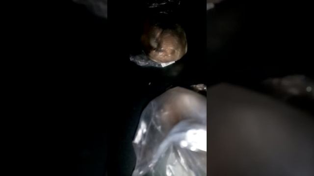 Первичная обработка смотреть онлайн