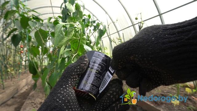 серная шашка БОРГ смотреть онлайн