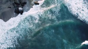 Студент,в покер,теща