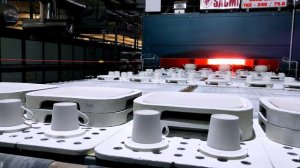 The Bone China Collection (How Its Made)