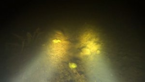 Волга,находка под водой, закрытие сезона подводной охоты