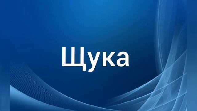 8 Самых больших Пресноводных рыб Мира смотреть онлайн