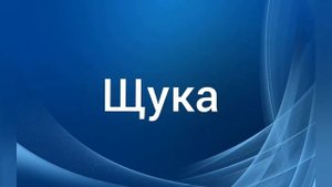 8 Самых больших Пресноводных рыб Мира