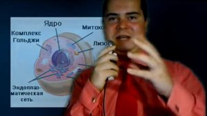 ЦИТОПЛАЗМА