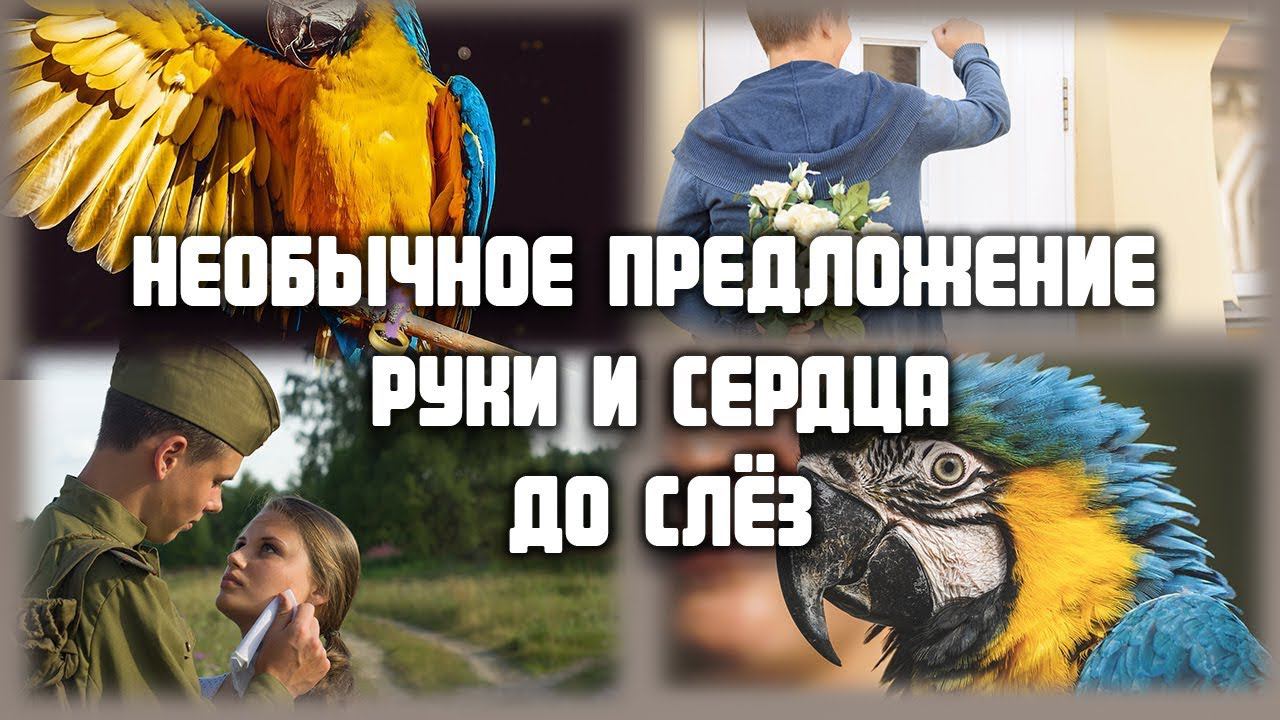 ЛЮБОВНЫЕ ИСТОРИИ - Самое необычное предложение руки и сердца до слёз - ИСТОРИИ ЛЮБВИ