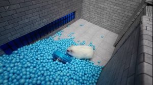 Hamster Escapes Prison Maze 🐹 Best of Hamster Adventures pets in real life 🛑Live Stream