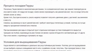 Гаура Красивые растения для дома и сада