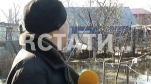 Плавающие утки в огороде - паводок пришёл в город