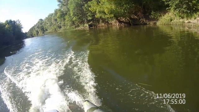 Ondatra на HONDA. "Транец W-Mo". смотреть онлайн