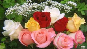 Цветы для любимой