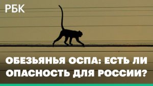 Обезьянья оспа: есть ли опасность для России?