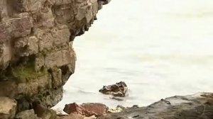 Волонтеры спасают храм в Крохино.