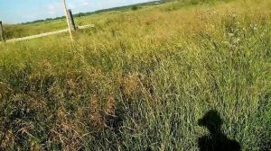 ПОЕЗДКА В большую ГРЯЗНУХУ