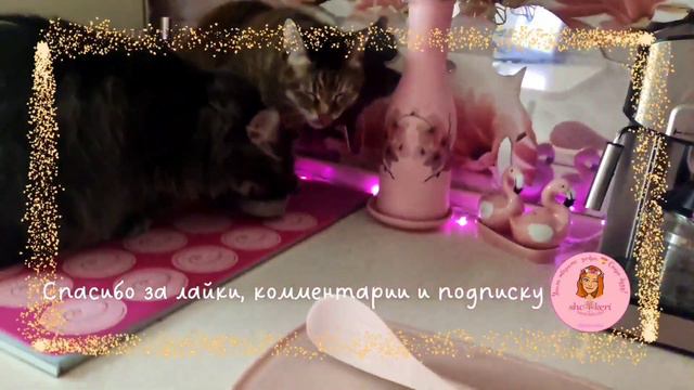 🍀 А ваши котики тоже любят 👀 спать на свежем постиранном? 😁 смотреть онлайн