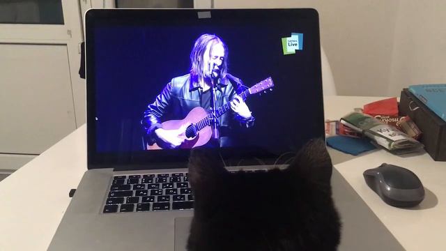 оля смотрит новую песню тома йорка смотреть онлайн