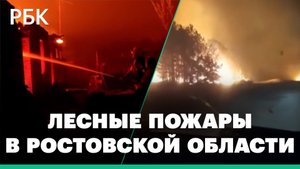 Видео горящей станицы Верхнекундрюченской в Ростовской области. Жителей эвакуировали