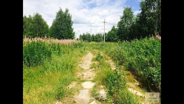 Продам участок 12 сот д.Снопово Солнечногорски...
