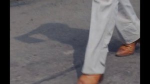 太陽にほえろ! 第572話 青い鳥