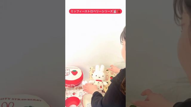 【わんちゃんねる】ミッフィー 春のブルーナフェアストロベリーシリーズ🐰🍓続々と入荷してきております！！！