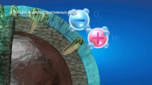 Технология Plasmacluster - направленные ионы