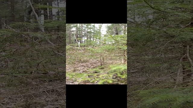 Как обозначить дорогу ночью. Лайфхак. смотреть онлайн