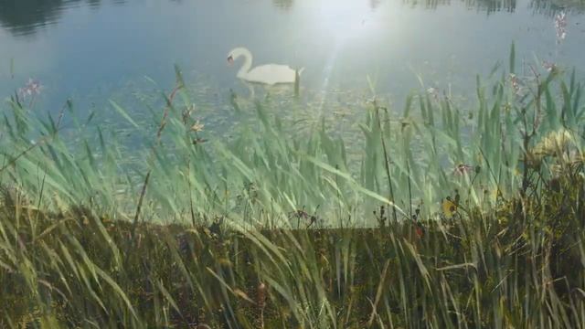 Взлететь бы птицей...Душевная песня.#красивыепесни#