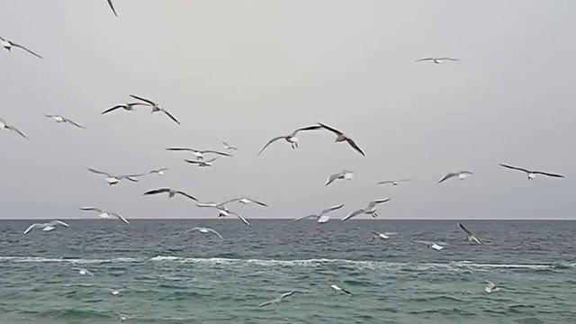 16 фонтана смотреть онлайн