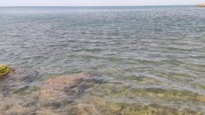 Джубга. Чем дальше от речки тем чище море.mp4