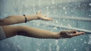 Лоя-Розы темно алые!!!