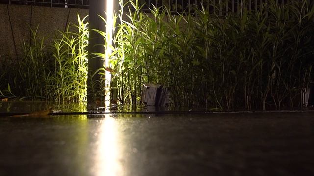 Midnight Rain Reflections: A Thoughtful Stroll in the Condo Park 🌧️🌙 смотреть онлайн