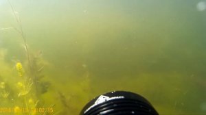 Подводная охота летом 2018 . река Челбас, Краснодарский край.