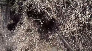 НАШЕЛ МЕСТО С ОТЛИЧНЫМ МЕТАЛЛОМ! Коп металлолома