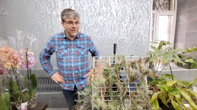 Репортаж з Виставки Тропічних Рослин