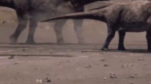 Титанозавр - самый большой травоядный динозавр? Древний гигант - Зауропод - тяжеловес  весил 70 тон