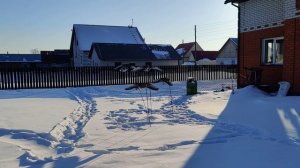 Махокрыл Flywing 2022