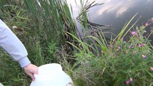 НАЧАЛ ЗАРЫБЛЯТЬ НОВОЕ ОЗЕРО