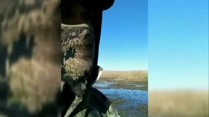 Охота и рыбалка в Краснодарском крае. Теория утиной охоты. ч. 1.