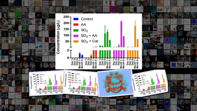 Удаление сероводорода из вина только усилило запах тухлых яиц смотреть онлайн