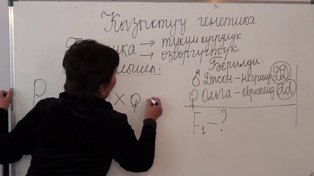 Кызыктуу генетика. Асанбаева Г смотреть онлайн