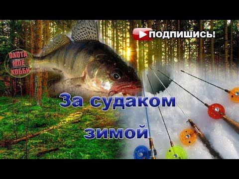 Судак на балансир (Тольятти) смотреть онлайн