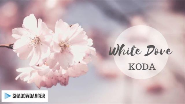 White Dove - Koda