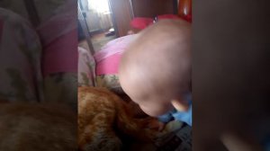 Ева, не трогай кота