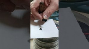 леший 2 недоворот барабана