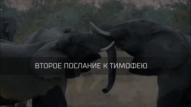 Второе послание к Тимофею /Читает Валентин Клементьев
