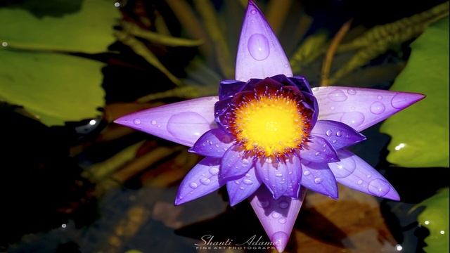 Абрахам Хикс – Что делать с сомнениями – Эстер Хикс смотреть онлайн