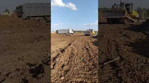 Работа бульдозера ЧЕТРА Т-11